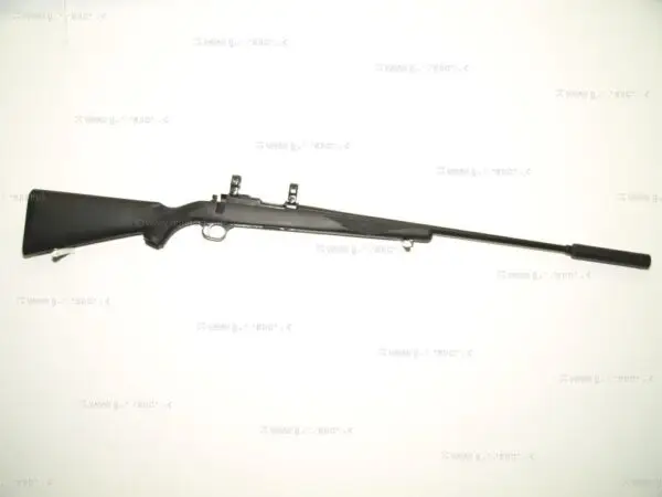 Ruger .17 HMR M77/17