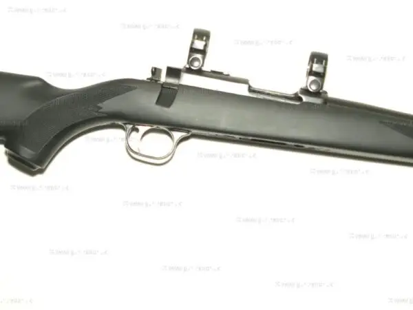 Ruger .17 HMR M77/17 - Image 3