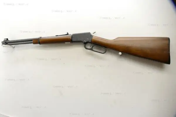 Chiappa .22 LR 1892 Take Down