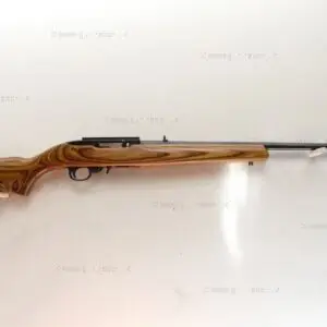 Ruger .22 LR 10/22 Custom