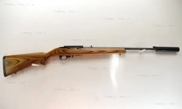 Ruger .22 LR 10/22 Custom