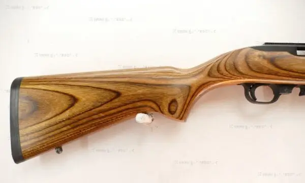 Ruger .22 LR 10/22 Custom - Image 2
