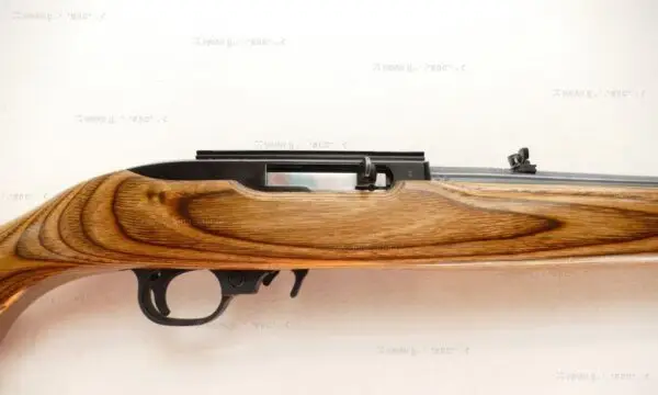 Ruger .22 LR 10/22 Custom - Image 3