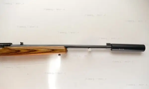 Ruger .22 LR 10/22 Custom - Image 4
