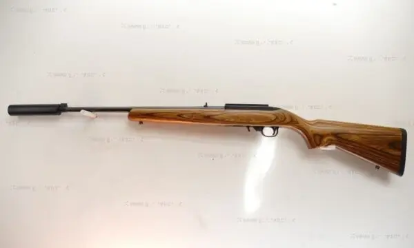 Ruger .22 LR 10/22 Custom - Image 5