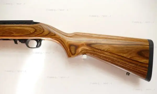 Ruger .22 LR 10/22 Custom - Image 6