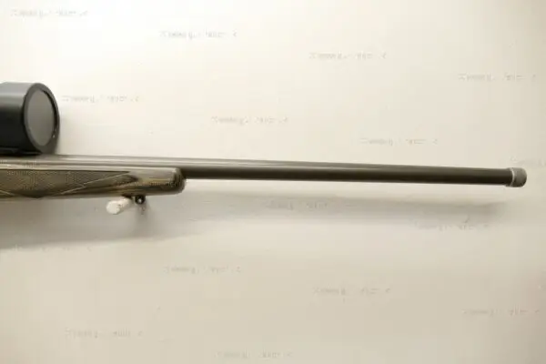 Ruger .17 HMR M77 Hawkeye All Weather - Image 3