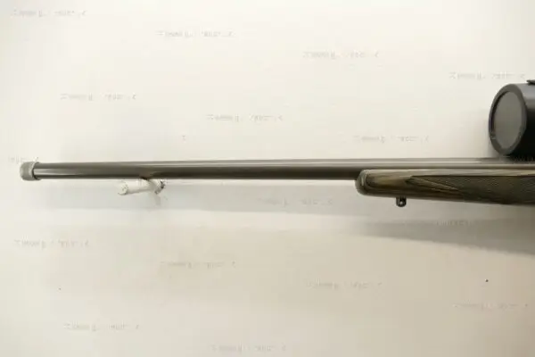 Ruger .17 HMR M77 Hawkeye All Weather - Image 6