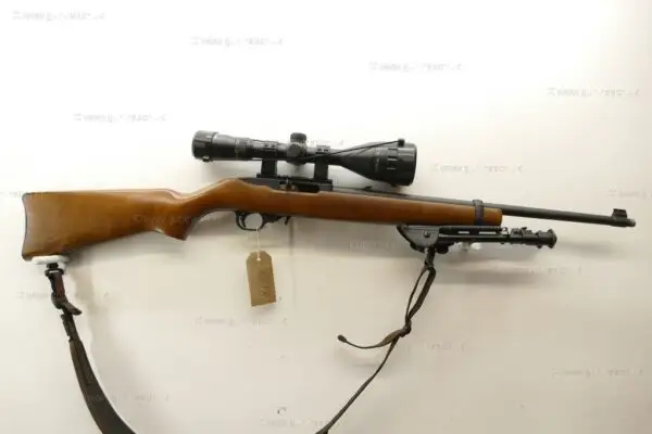 Ruger .22 LR 10/22 Standard Beech