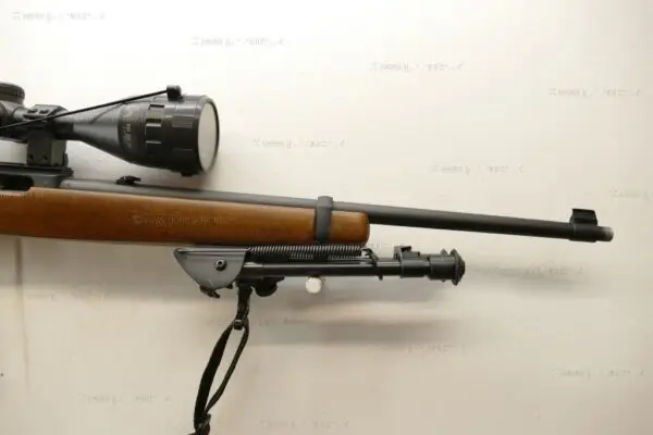 Ruger .22 LR 10/22 Standard Beech - Image 3