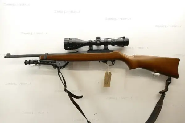 Ruger .22 LR 10/22 Standard Beech - Image 4