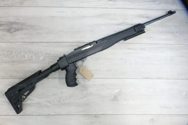 Ruger .22 LR 10/22