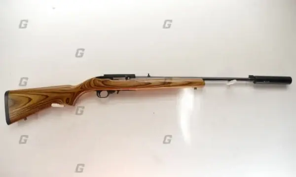 Ruger .22 LR 10/22 Custom