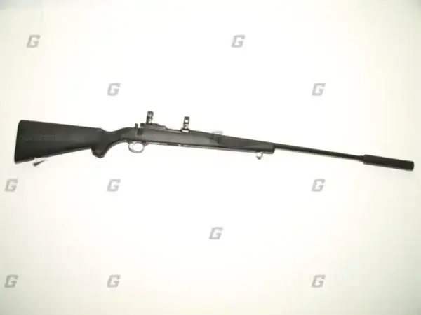Ruger .17 HMR M77/17