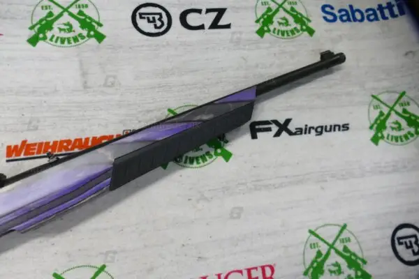 Ruger .22 LR 10/22 - Image 4