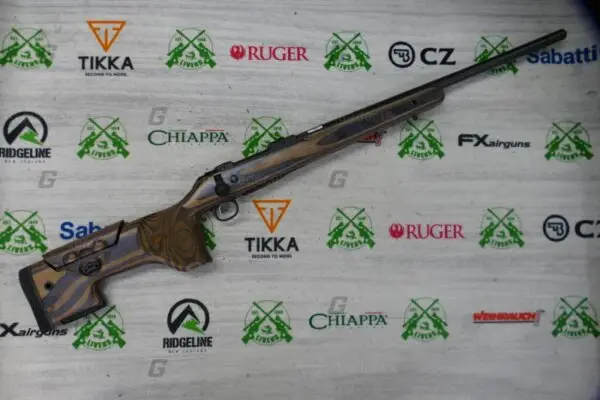 CZ .308 600 Range