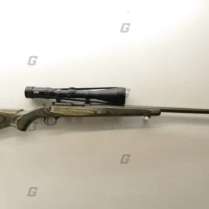 Ruger .17 Hmr M77 Hawkeye All Weather