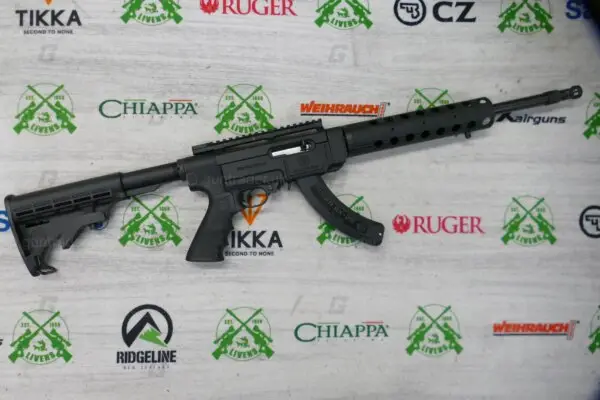Ruger .22 Lr Sr-22
