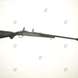 Ruger .17 Hmr M77/17
