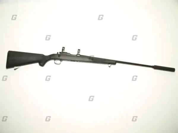 Ruger .17 Hmr M77/17